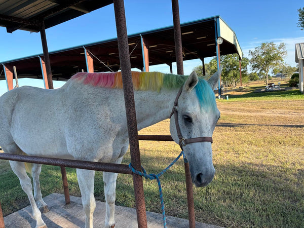 QuickColor Hair Comb Kit