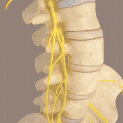 ReviFlex Complete Relief Massager